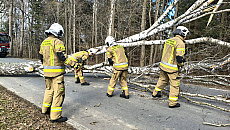 Połamane drzewa, uszkodzone dachy. Strażacy walczą ze skutkami wichury Połamane drzewa, uszkodzone dachy. Strażacy walczą ze skutkami wichury